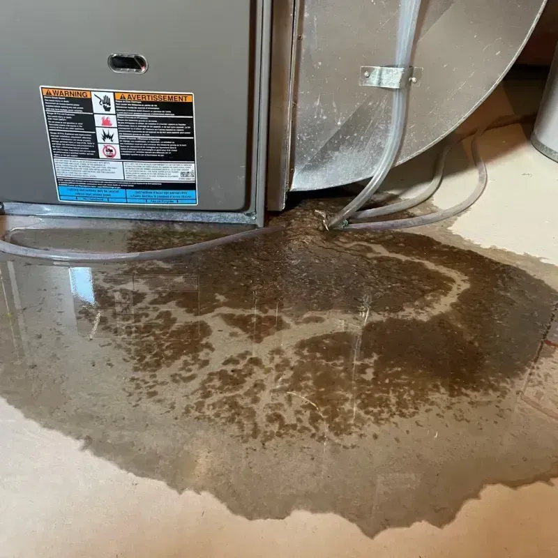 Appliance Leak Cleanup in Monarch Mill, SC